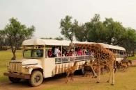 5 lugares que puedes visitar en lunes de puente 5 lugares que puedes visitar en lunes de puente