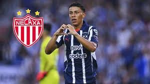 Sería el Necaxa destino de Johan Rojas