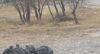 Hallan restos humanos dentro de bolsas en Galeana