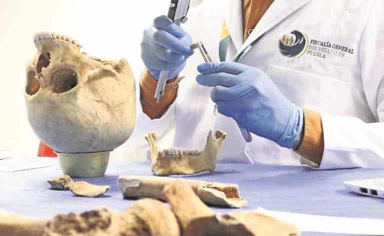 Rezago forense en México: IMDHD