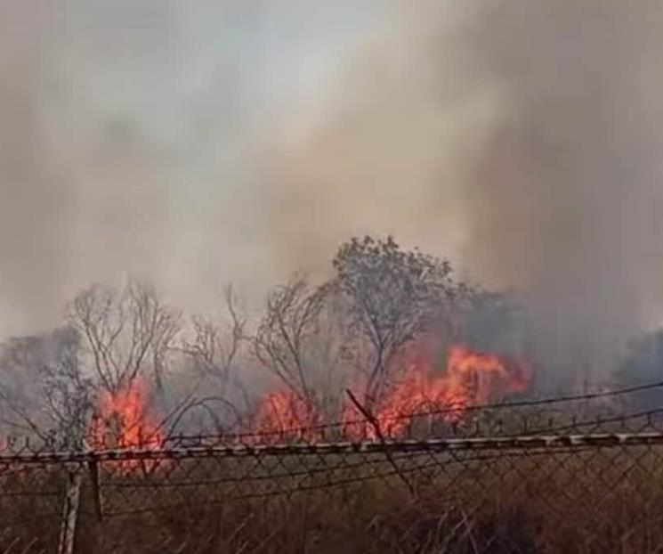 Alarma incendio en baldío