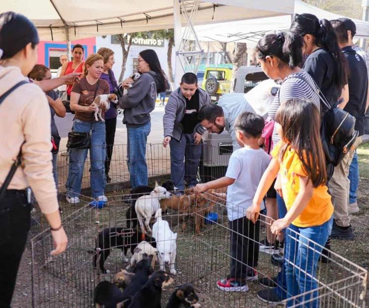 Realizan en Santiago la Feria de la Adopción