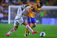 Destaca Paunovic la contundencia de Tigres Destaca Paunovic la contundencia de Tigres