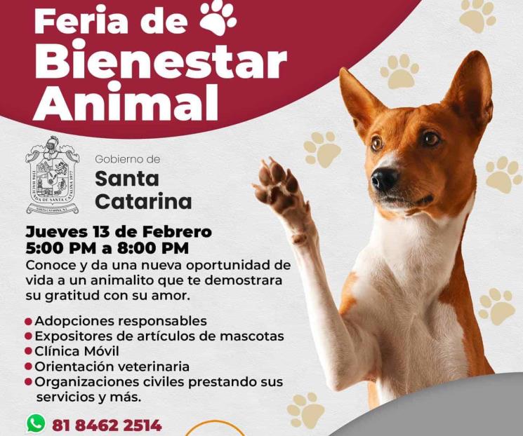 Arrecian en SC labores y acciones en pro del Bienestar Animal