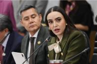 Plan México ayudará ante posible aumento de aranceles: Gómez Plan México ayudará ante posible aumento de aranceles: Gómez