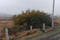 Encuentran a ejecutado sobre el Libramiento Noroeste Encuentran a ejecutado sobre el Libramiento Noroeste