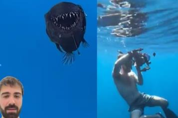 Revelan video in&eacute;dito del pez diablo negro encontrado en Espa&ntilde;a