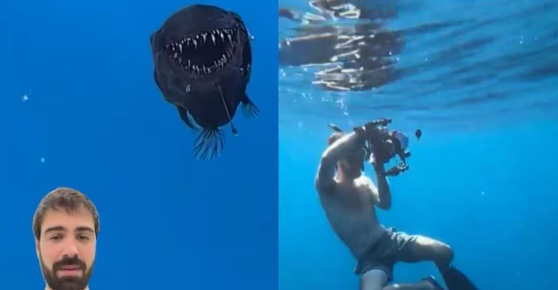 Revelan video inédito del pez diablo negro encontrado en España Revelan video inédito del pez diablo negro encontrado en España