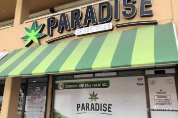 Va Cofepris contra empresa Paradise