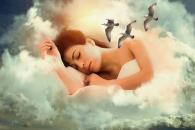 Despiertos, inocentes Despiertos, inocentes