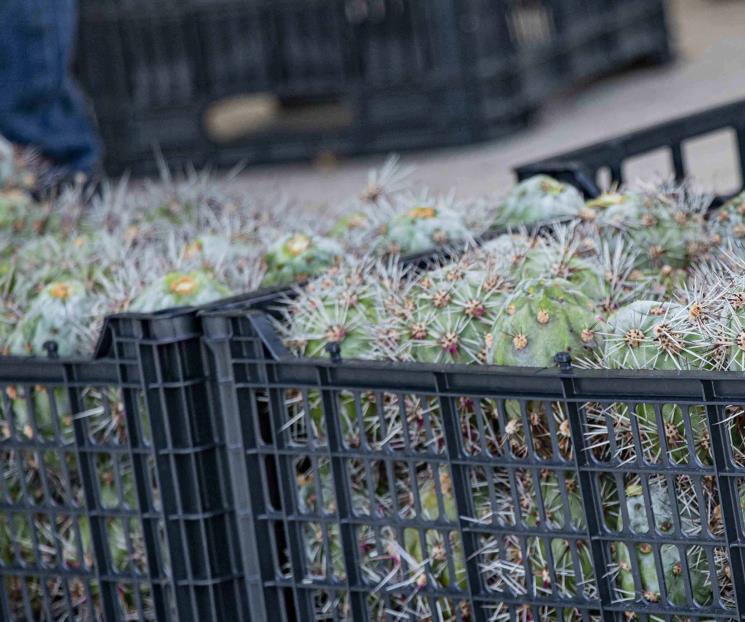 Sector agroindustrial pide apoyo a gobierno ante inseguridad