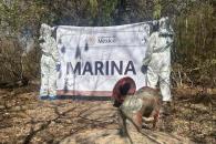 Marina destruye narcolaboratorios y plantío de marihuana en Sinaloa Marina destruye narcolaboratorios y plantío de marihuana en Sinaloa