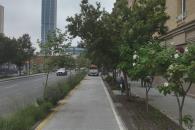 Modificarán corredores verdes y banquetas Modificarán corredores verdes y banquetas