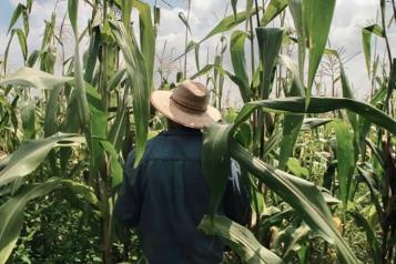 Advierte CNA que aranceles de EU podrían golpear al campo
