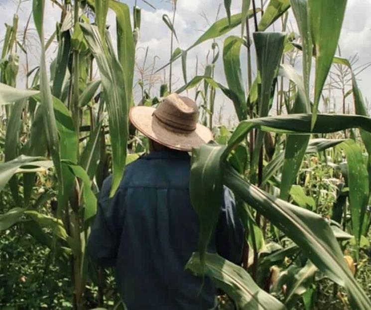 Advierte CNA que aranceles de EU podrían golpear al campo Advierte CNA que aranceles de EU podrían golpear al campo