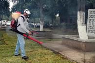 Piden reforzar campañas contra el dengue Piden reforzar campañas contra el dengue