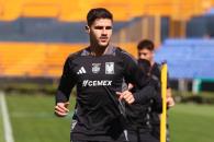 Seguirán las bajas en Tigres para enfrentar a Necaxa Seguirán las bajas en Tigres para enfrentar a Necaxa