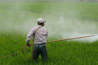 Reportan creación de 123 mil empleos en enero