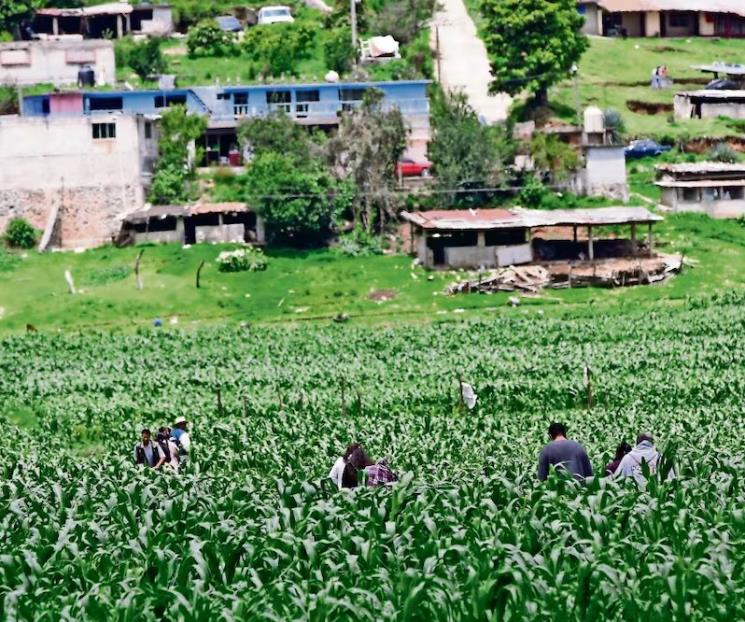 Reporta Coneval aumento de la pobreza rural Reporta Coneval aumento de la pobreza rural