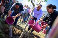 Inicia Escobedo segunda etapa de ‘pulmones urbanos’ Inicia Escobedo segunda etapa de ‘pulmones urbanos’