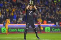 Tigres-Rayos; experiencia-juventud Tigres-Rayos; experiencia-juventud