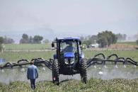 En riesgo México, por aranceles agropecuarios En riesgo México, por aranceles agropecuarios