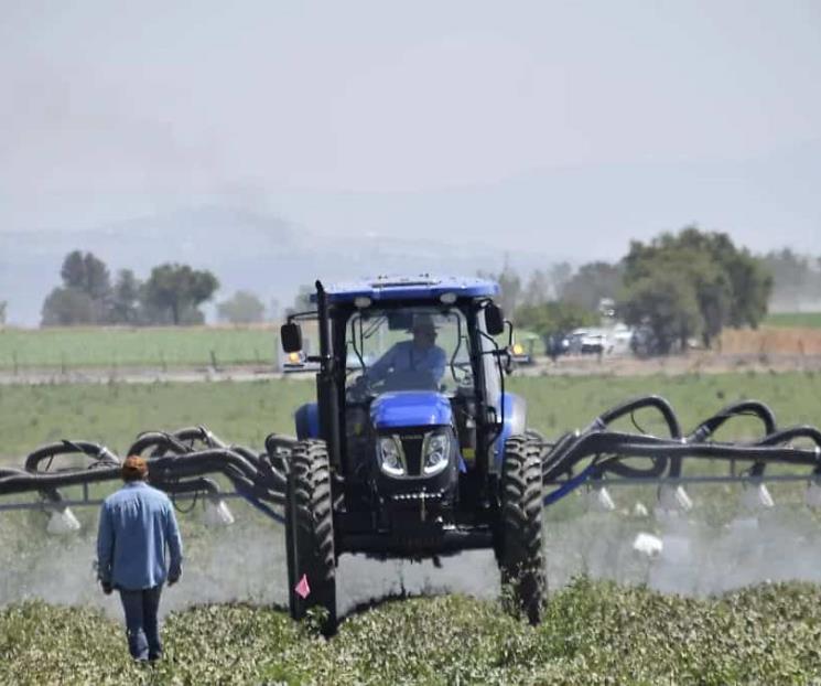 En riesgo México, por aranceles agropecuarios