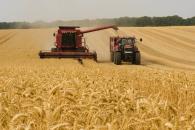 México, el más vulnerable a aranceles al agro México, el más vulnerable a aranceles al agro
