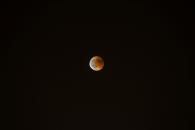 De Eclipse Lunar y Luna de Gusano a Equinoccio de primavera De Eclipse Lunar y Luna de Gusano a Equinoccio de primavera