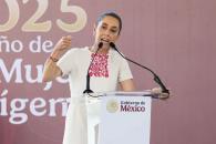 Acusa Claudia nepotismo y corrupción en el PJF Acusa Claudia nepotismo y corrupción en el PJF