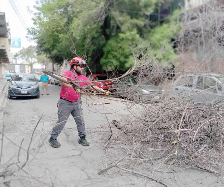 Racha de vientos e incendios causan severos daños en Nuevo León