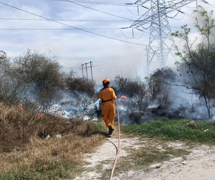 Detienen a más de 10 por causar incendios