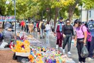Crece economía informal 6%, reporta el Inegi Crece economía informal 6%, reporta el Inegi