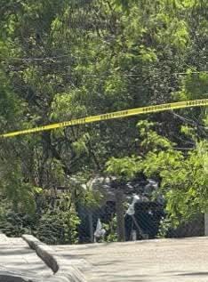 El cadáver de un hombre con diversas heridas de arma blanca, fue encontrado ayer en calles de la Colonia Fernando Amilpa, en el municipio de Escobedo.