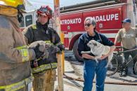 Rescatan tortugas y perrito de incendio Rescatan tortugas y perrito de incendio