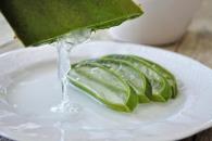 Quiénes no deben usar aloe vera en la piel Quiénes no deben usar aloe vera en la piel