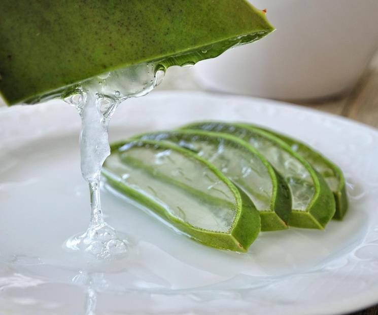 Quiénes no deben usar aloe vera en la piel