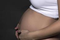 Lidera el despido de embarazadas quejas en la CNDH Lidera el despido de embarazadas quejas en la CNDH