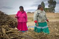 Conocimiento ancestral; solución al cambio climático Conocimiento ancestral; solución al cambio climático