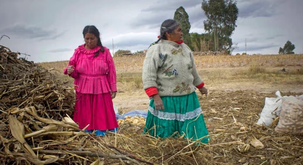 Conocimiento ancestral; solución al cambio climático