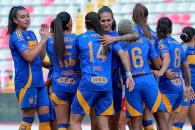 Buscan las Tigres alcanzar el tercero