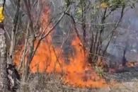 Fallece tras provocar incendio en Montemorelos Fallece tras provocar incendio en Montemorelos