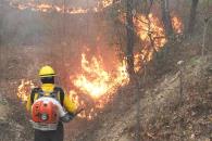 Apoya Nuevo León en el combate al fuego en Arteaga