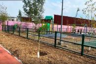 Reforestan el Parque Coyoacán Reforestan el Parque Coyoacán