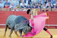 Aprueban corridas sin violencia en México Aprueban corridas sin violencia en México