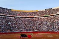 Dejará corridas de toro ‘sin violencia’ perdidas millonarias Dejará corridas de toro ‘sin violencia’ perdidas millonarias