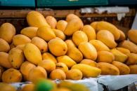 ¿Cómo saber si el mango está bueno? ¿Cómo saber si el mango está bueno?