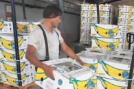 Cae fuerza laboral inmigrante en primer bimestre en EU