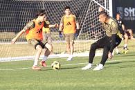 Tendrá Tigres partido amistoso ante Pumas Tendrá Tigres partido amistoso ante Pumas