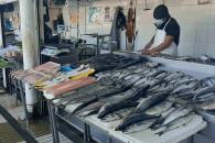 Piden extremar precauciones al comprar e ingerir pescados y mariscos Piden extremar precauciones al comprar e ingerir pescados y mariscos